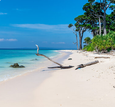 Neil Island 4 Point Tour