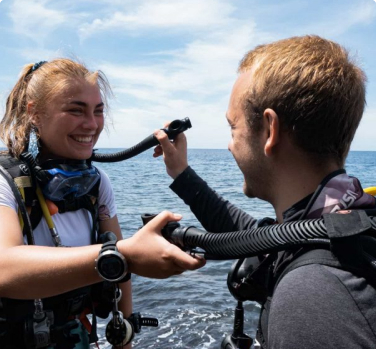 Open Water Diver - Course